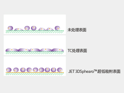 超低吸附表面具有共價結(jié)合的水凝膠層，具有極強的抗蛋白吸附性和抗細胞貼壁性，可有效抑制細胞附著